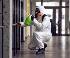 Best Mold Odor Removal Services  in Stock Island, FL